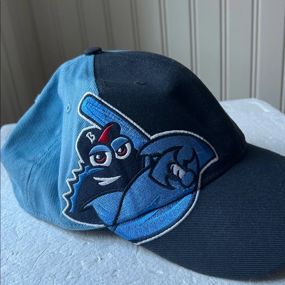 ‘47 Brand Lakewood JerseyShore BlueClaws embroidered Youth New Baseball Cap Hat